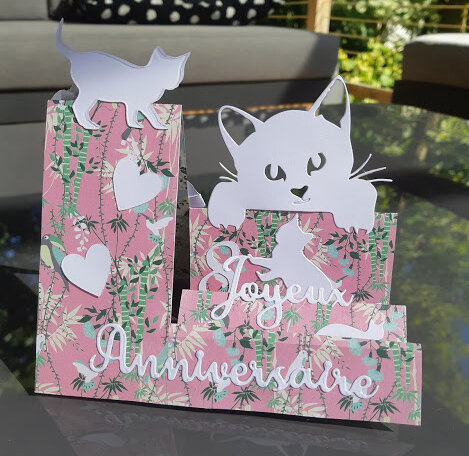 Carte D'anniversaire 8 Ans Pour Petit-fils – Chats Mignons Spéciaux
