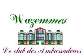 logo club des ambassadeurs de wazemmes lille