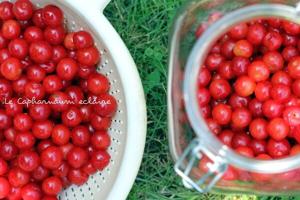 Cerises half half