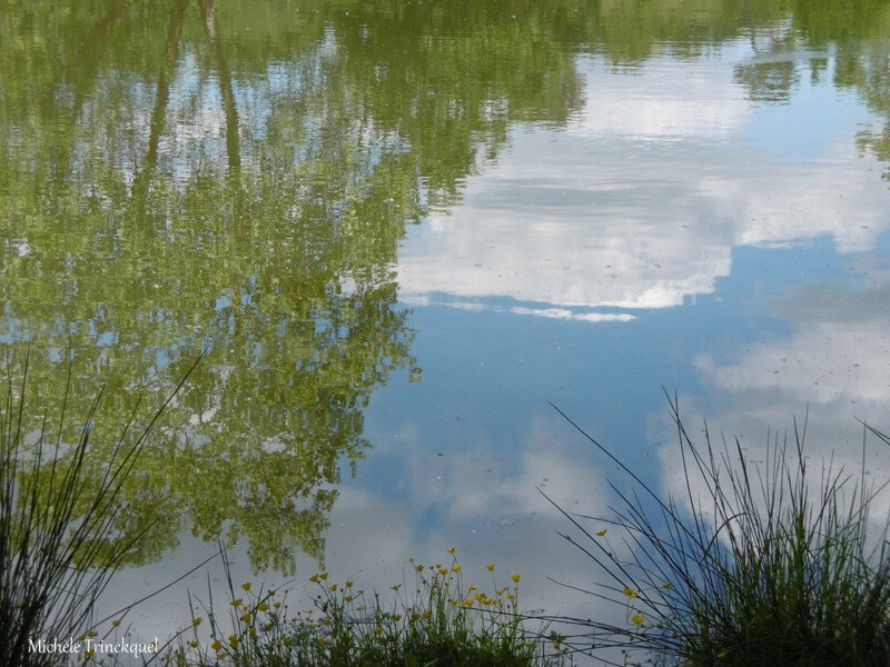 1-Etangs des Gravières 050519