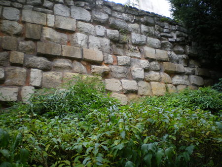 IMGP4376