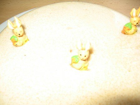 photoscreationsvacancespaquesbelfort_021