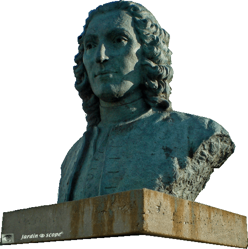 Carl von Linné (1707-1778)