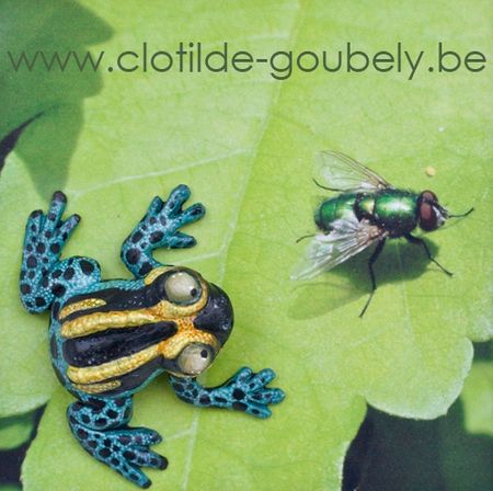 grenouille-bleue