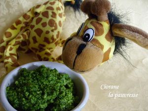 pistou_de_roquette_3