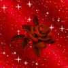 rose_rouge