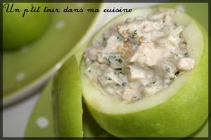 Pomme_farcie_concombre