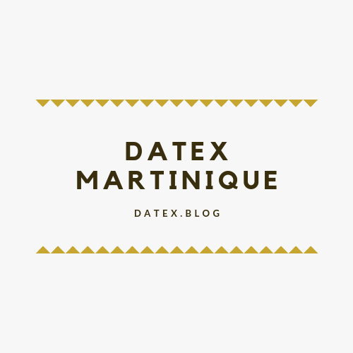 datex-martinique-muriel-palandri (11)