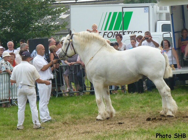 THEO 49 - Concours National - Samer (62) - 27 juillet 2014 - 1er (Coupe Challenge des Etalons)