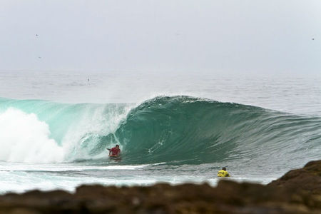 Amaury_Lavernhe_MG_0143_IBA_ARICA_2011_SPECKER_n