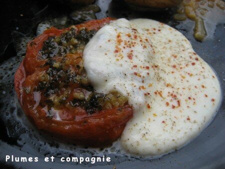 recettes entrees Tomate / Mozzarella qui change !