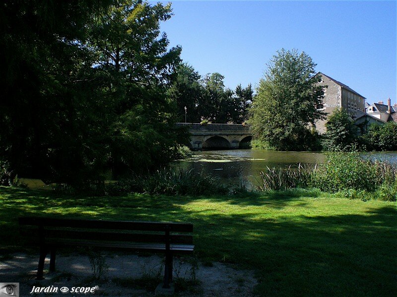 Un coin de fraicheur au bord du Beuvron à Cellettes (41)