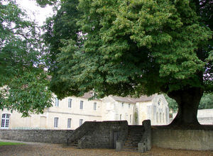 Noirlac Tilleuls