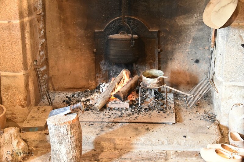 PUY_9274