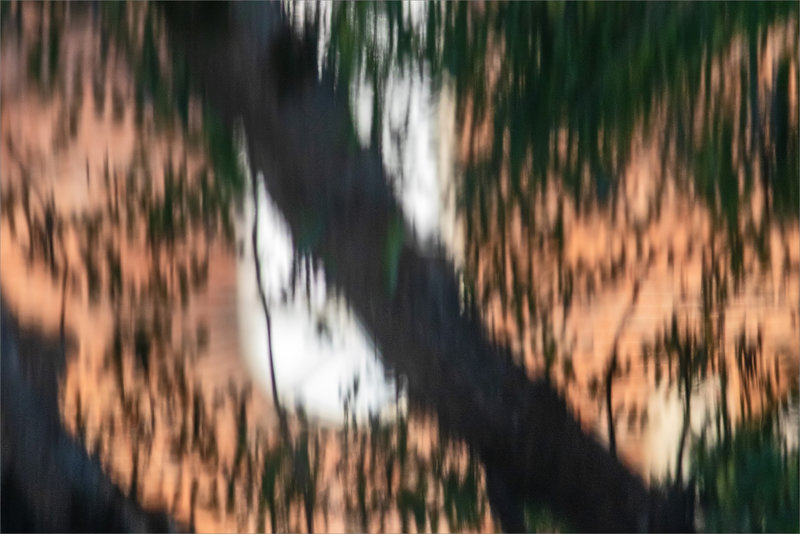 Reflets arbres rivière formes 270921 3