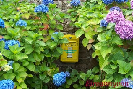 Boite aux lettres