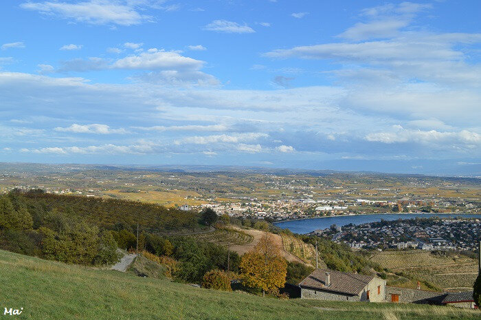 181110_Tournon_1