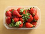 FraisierBLOG3