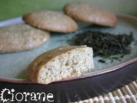 biscuit-au--the-sencha-fukuyu