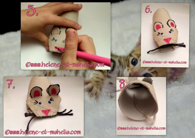 montage souris_2