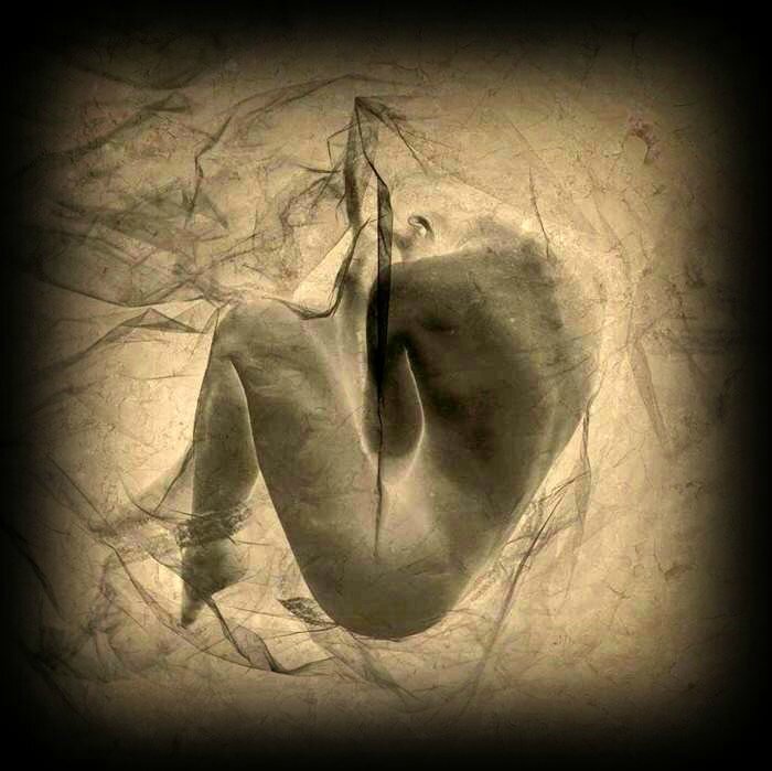 brooke shaden