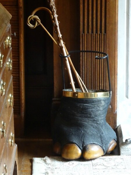 Pied éléphant