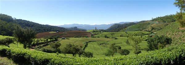 P1270262