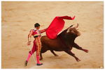 La_corrida