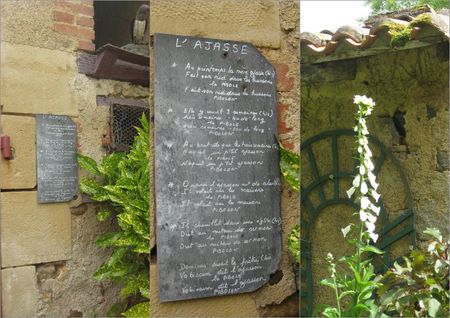 L'ajasse