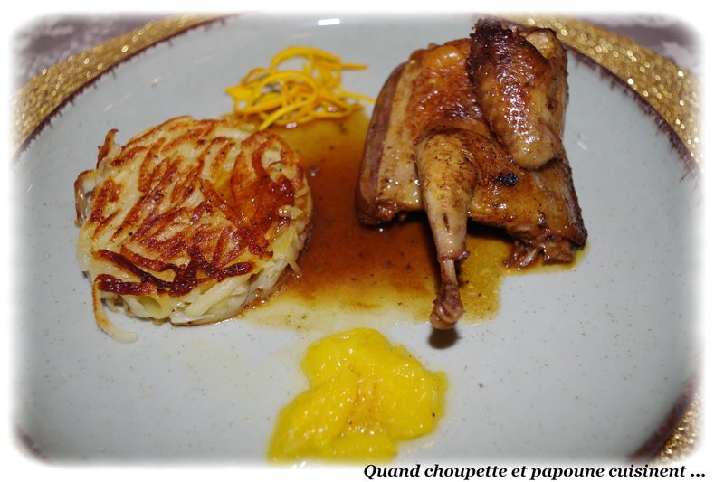 pigeon à l'orange-8804