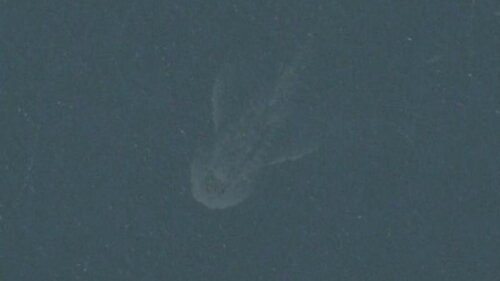 loch-ness-satellite
