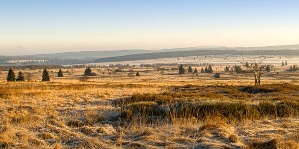 gite-hautes-fagnes