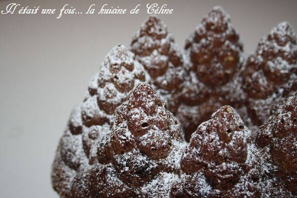 il_etait_une_fois_la_kuisine_de_celine_gateau_chocolaitfermente2