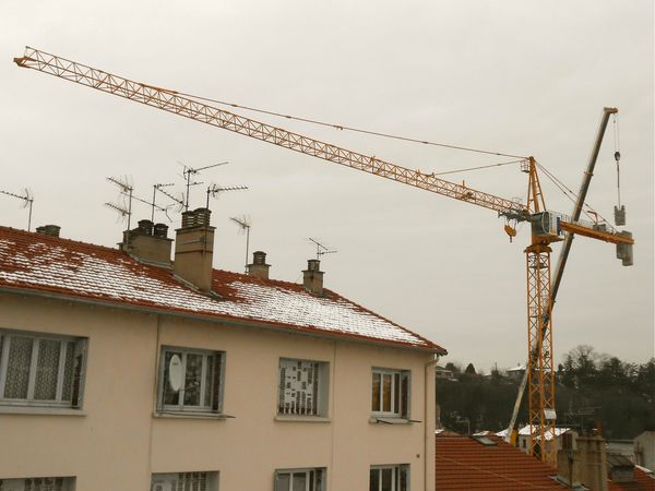 grue 18 janvier 2013 (3)