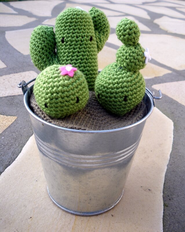 Cactus crochet (1)