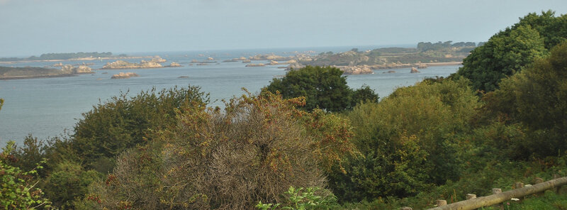 DSC_0202 recadré