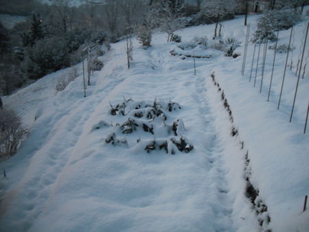 hiver_au_jardin_012