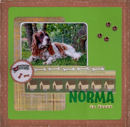Norma__t__2009_0002