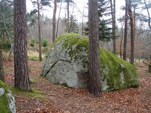 La_Tourette_10