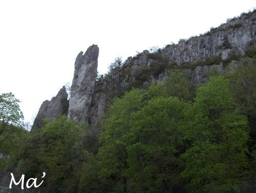 2008_avril_Bourgogne-(2)