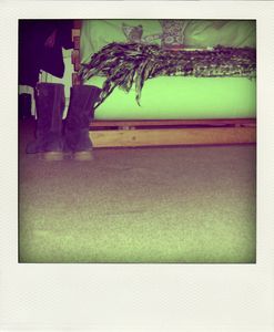 IMG_4430_pola
