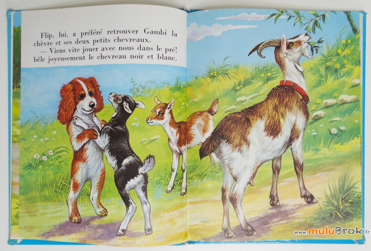 PIT-à-la-ferme-3-muluBrok-Livre-ancien