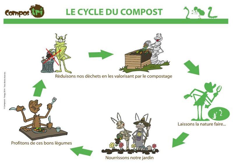 cycle du compost