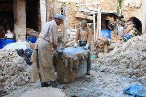 séparer laine et peaux Fondouq Labbata FES Maroc