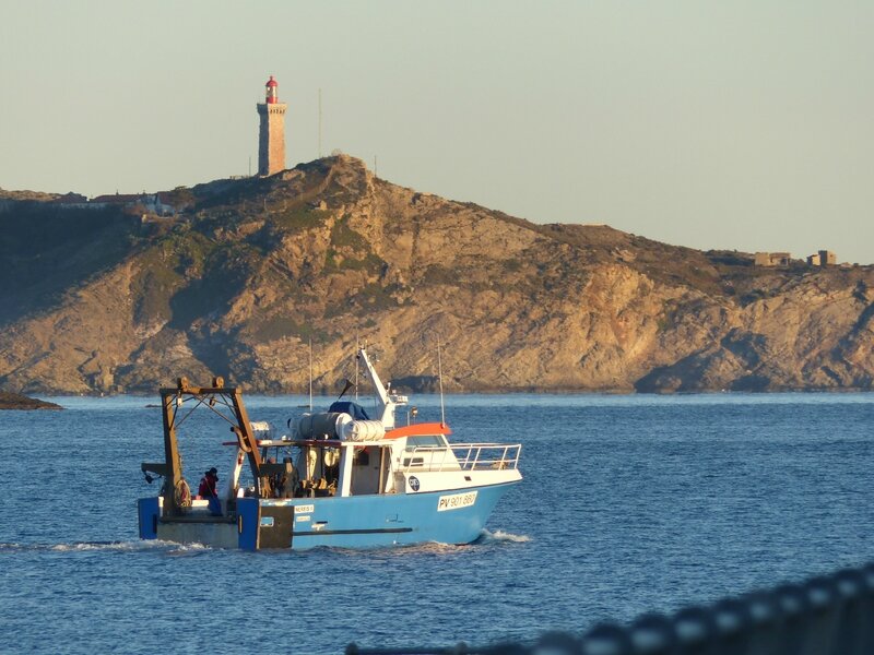 P1000774