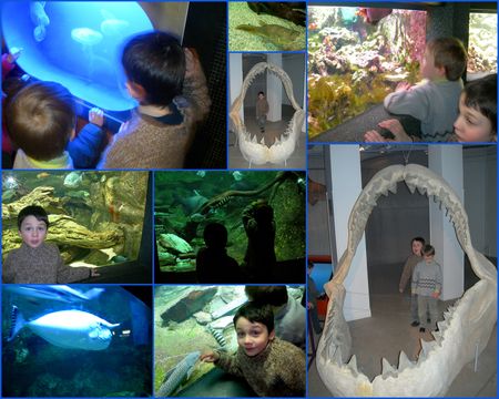 expo_aquarium_Fevrier_2010