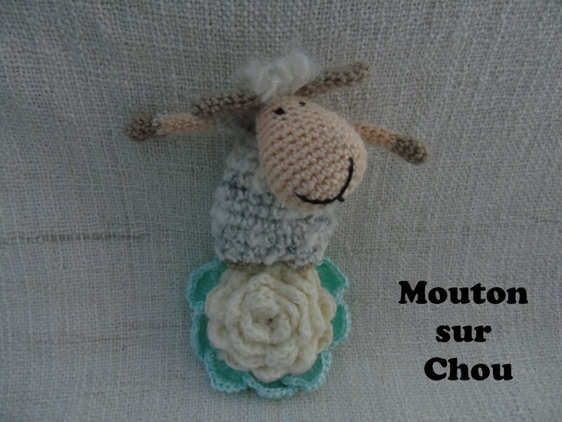 mouton sur chou