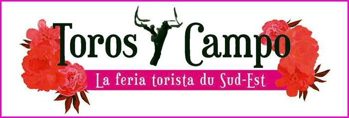 logo toros y campo