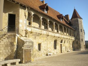 chateau_de_Nerac