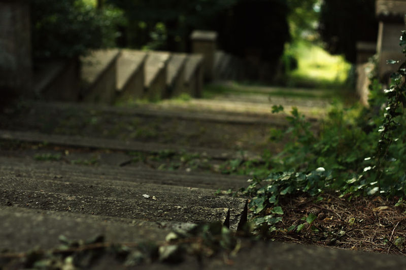 le_chemin_04